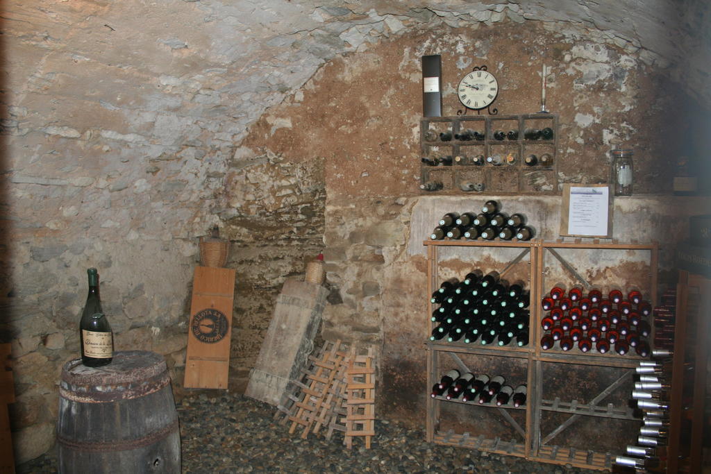 La Salamandre Bleue Villa Chantemerle-lès-Grignan Eksteriør billede