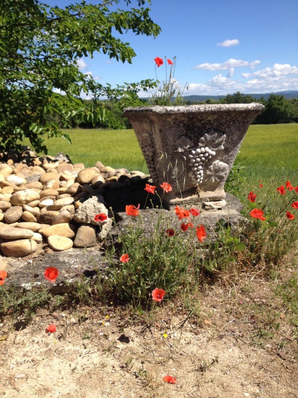La Salamandre Bleue Villa Chantemerle-lès-Grignan Eksteriør billede